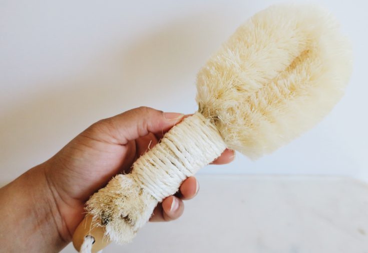 Vegan Dry Brush- Dry Brushing 101- GGS- Felixinsideout